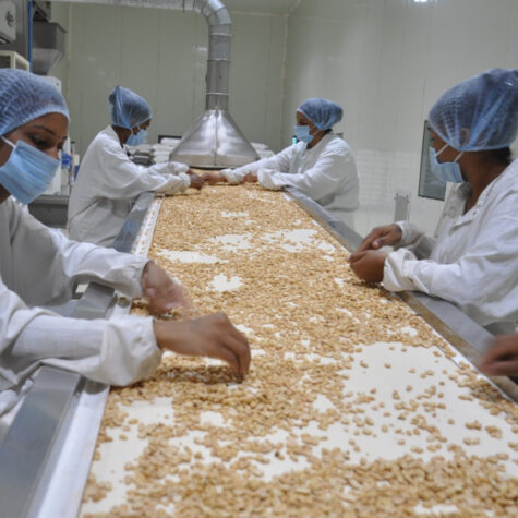 Our Colour Sorted & Hand Picked Peanut