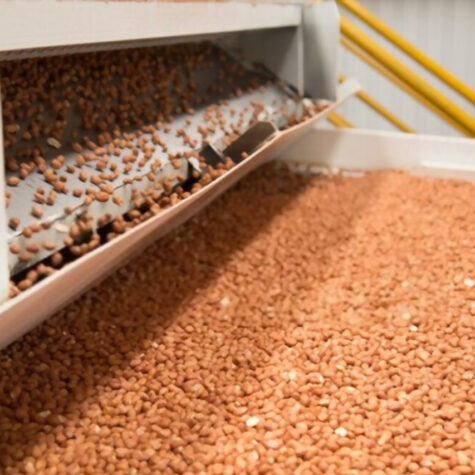 20+ Years of Experience in Indian Peanuts